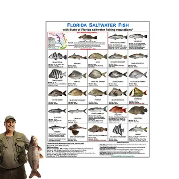 Удостоверение личности рыбака, Цветные фотографии водных правил Флориды, удостоверение личности морской рыбы Флориды для пляжного причала